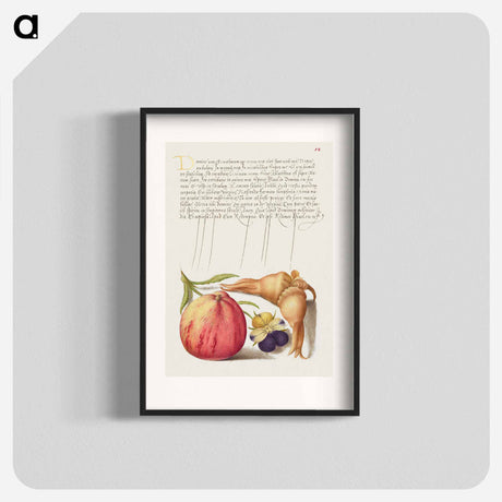 アートポスター-Common Apple, European Wild Pansy, and Giant Filbert
 - 書道のお手本 Poster.