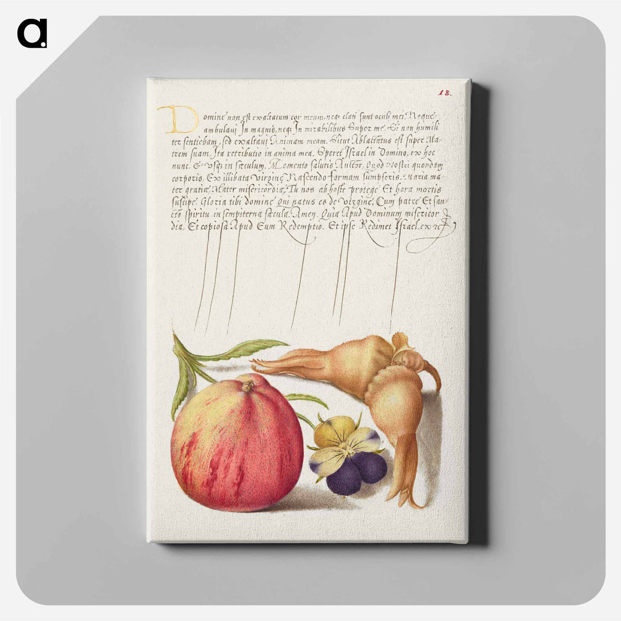 アートパネル-Common Apple, European Wild Pansy, and Giant Filbert
 - 書道のお手本 Canvas.