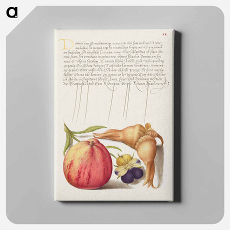 アートパネル-Common Apple, European Wild Pansy, and Giant Filbert
 - 書道のお手本 Canvas.