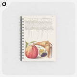 アートメモ帳-Common Apple, European Wild Pansy, and Giant Filbert
 - 書道のお手本 Memo.