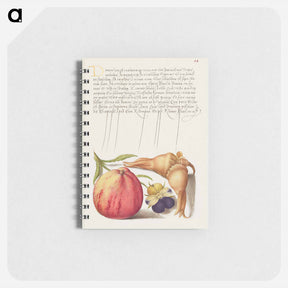 アートメモ帳-Common Apple, European Wild Pansy, and Giant Filbert
 - 書道のお手本 Memo.