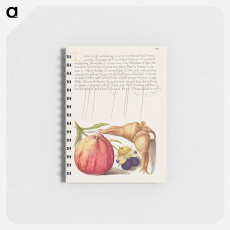 アートメモ帳-Common Apple, European Wild Pansy, and Giant Filbert
 - 書道のお手本 Memo.