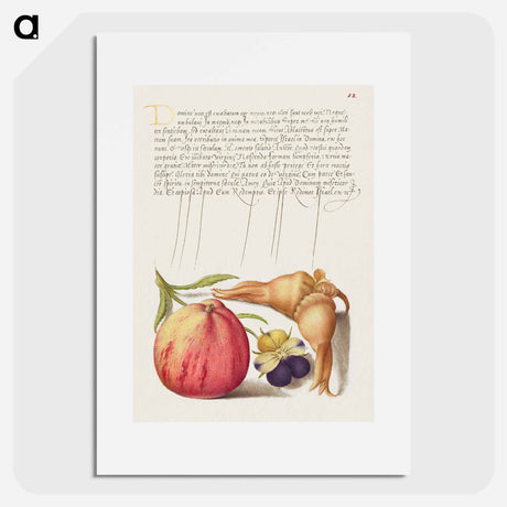 アートポスター-Common Apple, European Wild Pansy, and Giant Filbert
 - 書道のお手本 Poster.