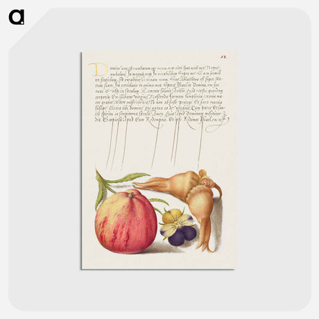 アートポストカード-Common Apple, European Wild Pansy, and Giant Filbert
 - 書道のお手本 Postcard.