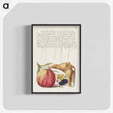 2-33_The-Model-Book-of-Calligraphy_blk-crop