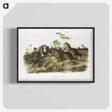 2-33_The-Viviparous-Quadrupeds_blk-crop