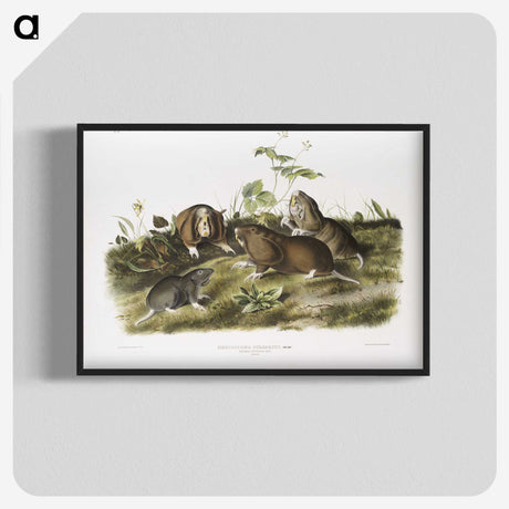 2-33_The-Viviparous-Quadrupeds_blk-crop