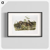 2-33_The-Viviparous-Quadrupeds_blk