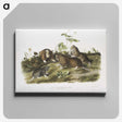 2-33_The-Viviparous-Quadrupeds_canvas