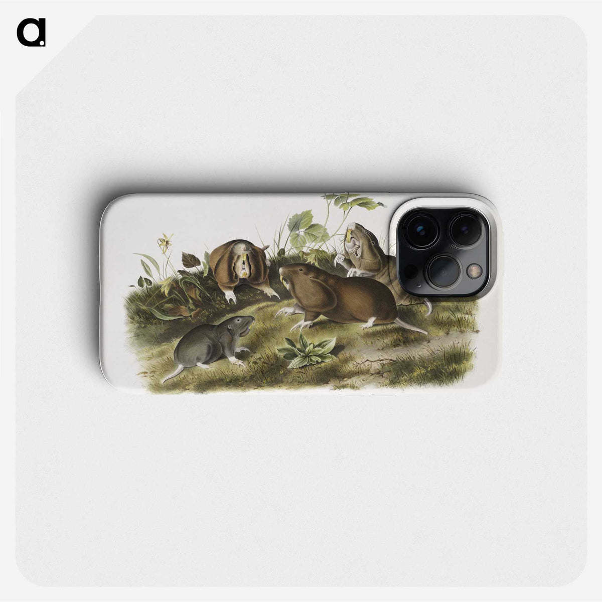 2-33_The-Viviparous-Quadrupeds_phone