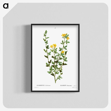 2-33_Treatise-on-Trees-and-Shrubs_blk-crop