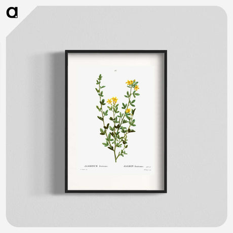 2-33_Treatise-on-Trees-and-Shrubs_blk