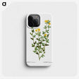 2-33_Treatise-on-Trees-and-Shrubs_phone