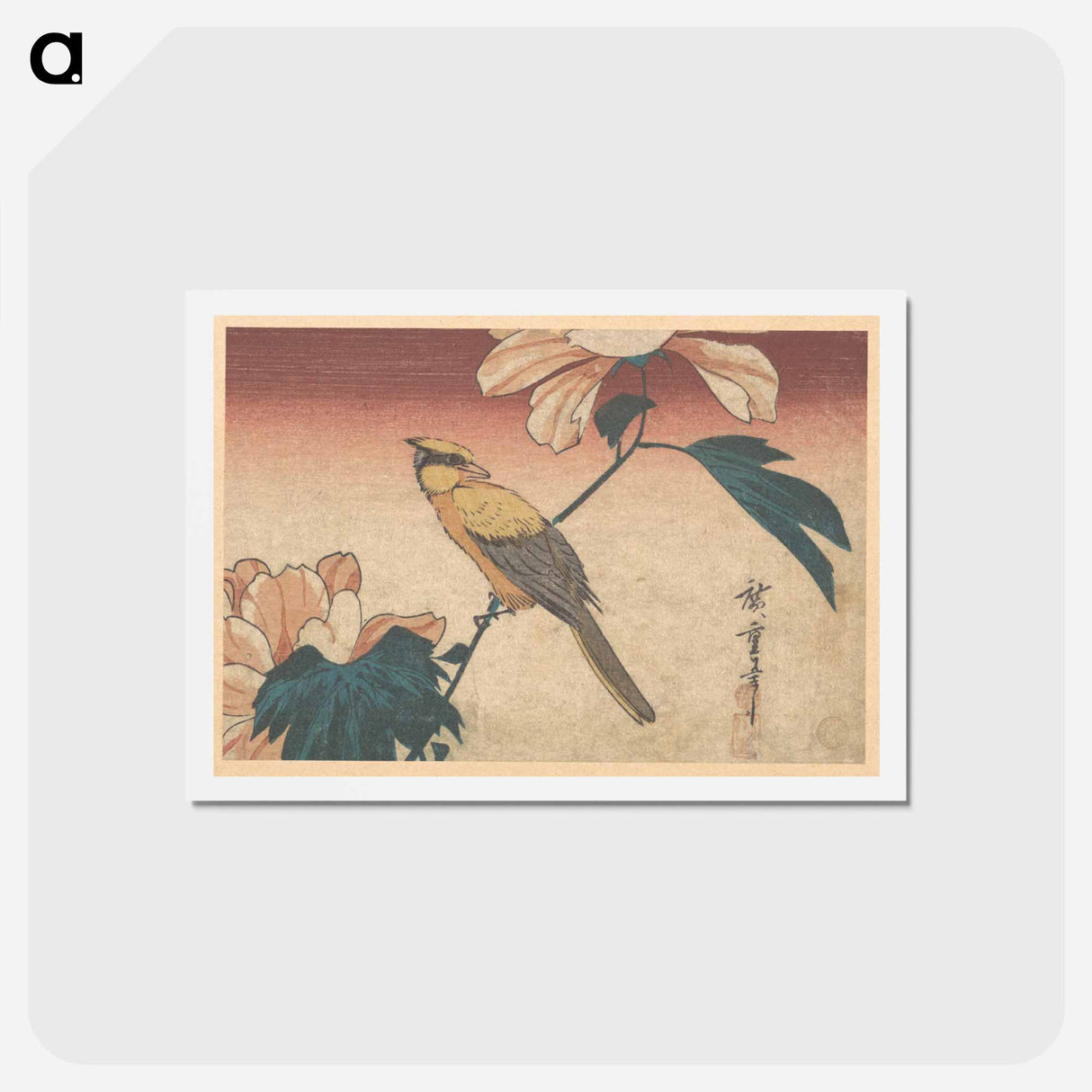 アートポストカード-Hibiscus Mutabilis and Jay
 - 歌川 広重 Postcard.
