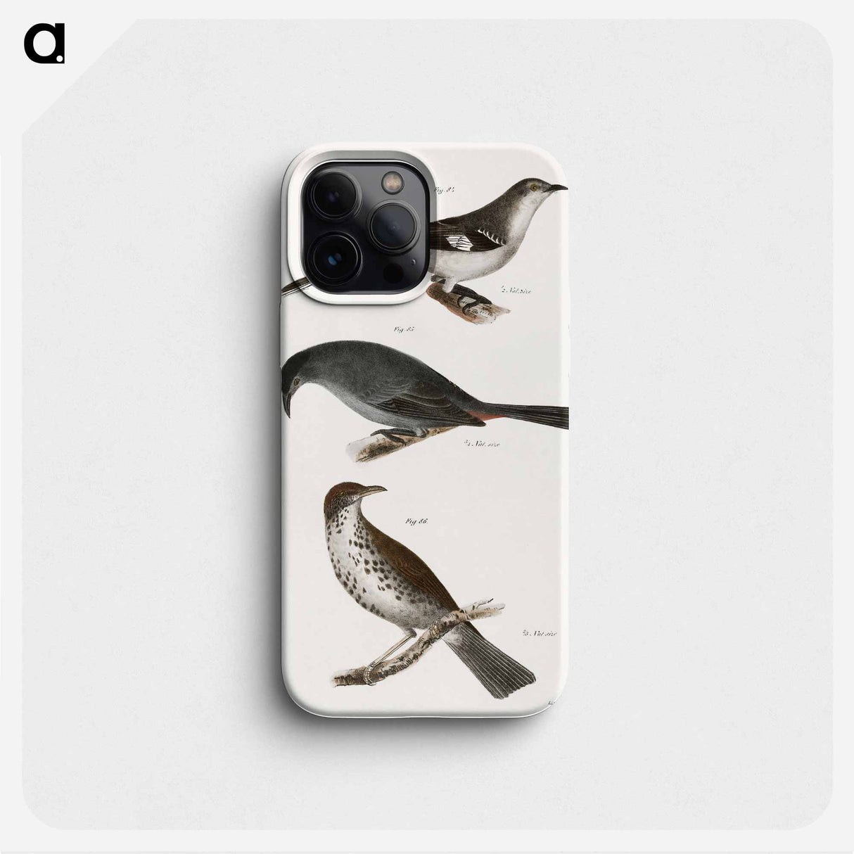 The Mocking-bird (Orpheus polyglottus) - ニューヨークの動物学 Phone Case.