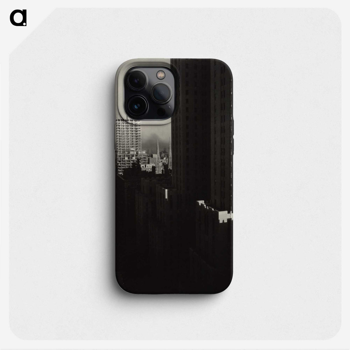 2-34_Alfred-Stieglitz_phone