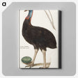 2-34_Anselmus-Boetius-de-Boodt_canvas