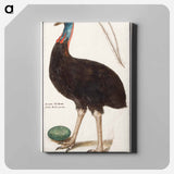 Helmet cassowary - アンセルムス ボエティウス デ ブート Canvas.