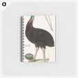 2-34_Anselmus-Boetius-de-Boodt_memo