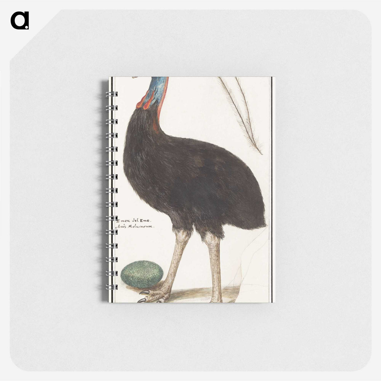 2-34_Anselmus-Boetius-de-Boodt_memo