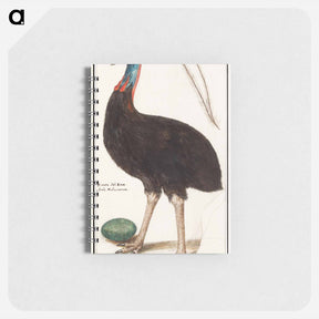 アートメモ帳-Helmet cassowary - アンセルムス ボエティウス デ ブート Memo.