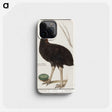 2-34_Anselmus-Boetius-de-Boodt_phone