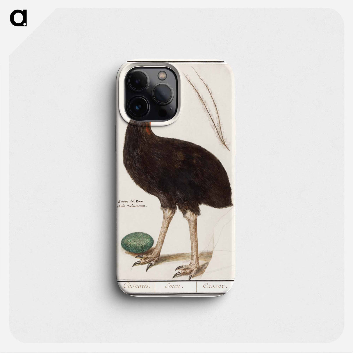 Helmet cassowary - アンセルムス ボエティウス デ ブート Phone Case.