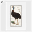 2-34_Anselmus-Boetius-de-Boodt_picture