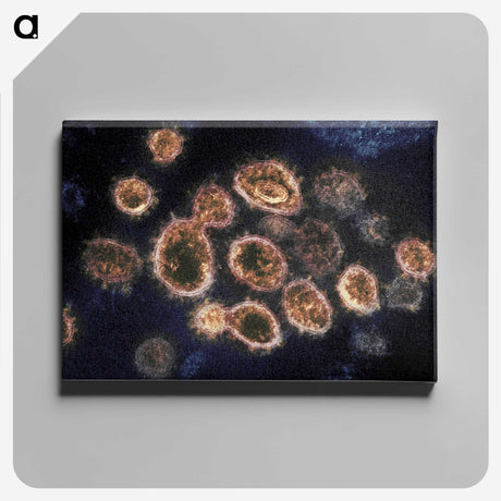 2-34_COVID-19_canvas