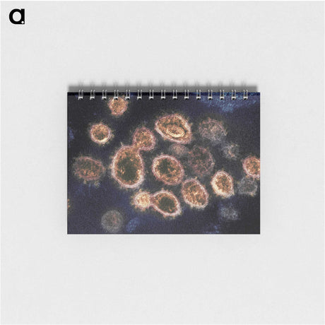 2-34_COVID-19_memo