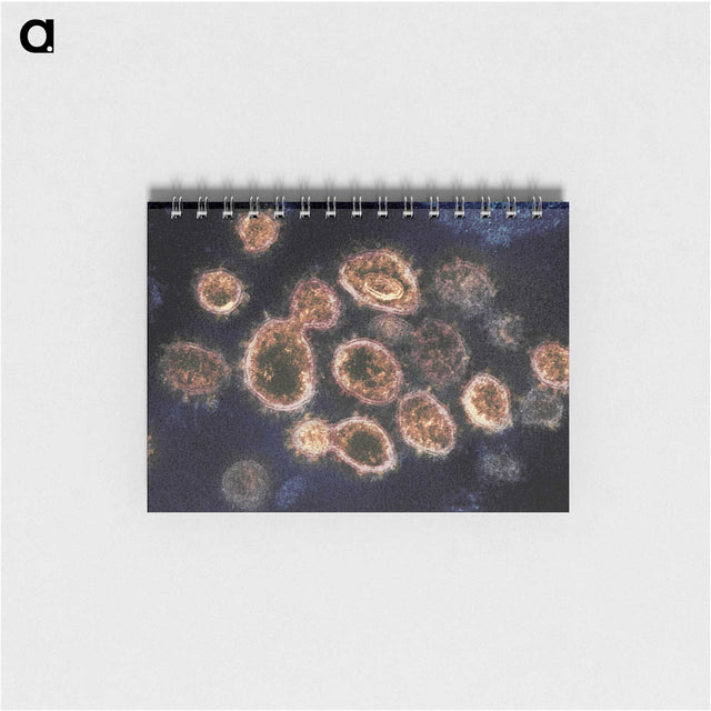 2-34_COVID-19_memo