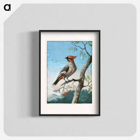 アートポスター-Bird Study
 - クリーブランド美術館 Poster.