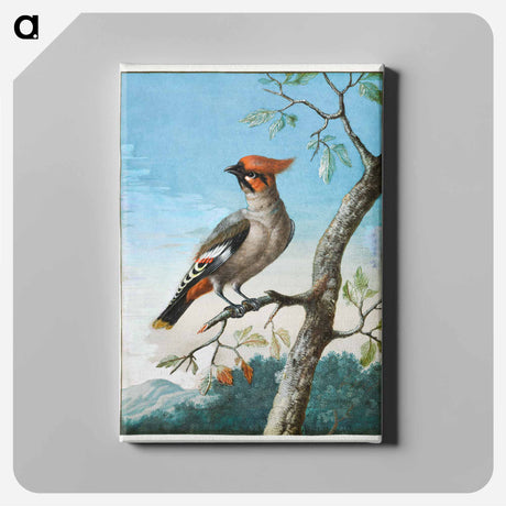アートパネル-Bird Study
 - クリーブランド美術館 Canvas.