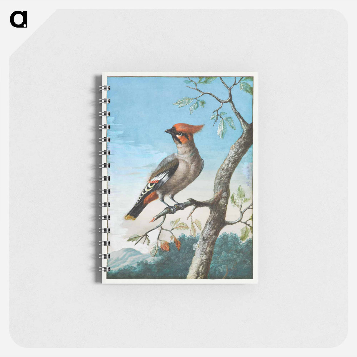 アートメモ帳-Bird Study
 - クリーブランド美術館 Memo.