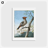 2-34_Cleveland-Museum-of-Art_hagaki