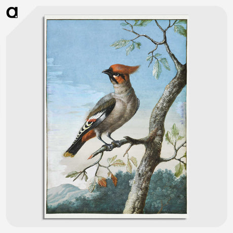 2-34_Cleveland-Museum-of-Art_picture-crop