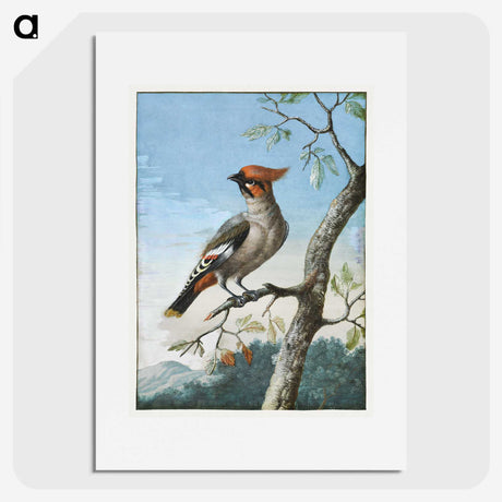 2-34_Cleveland-Museum-of-Art_picture