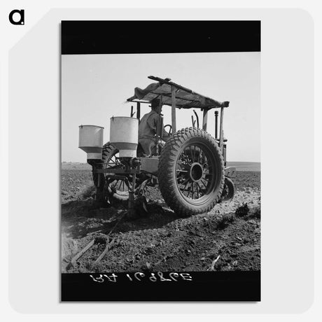 2-34_Dorothea-Lange_picture-crop