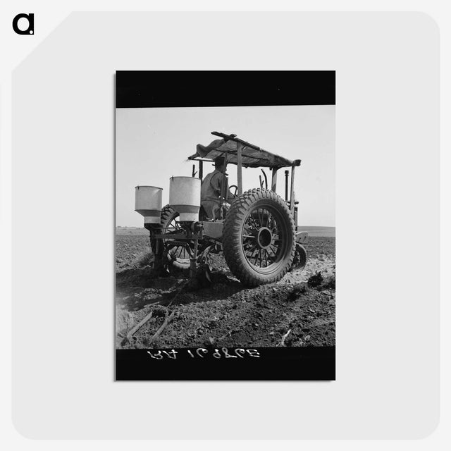 2-34_Dorothea-Lange_postcard