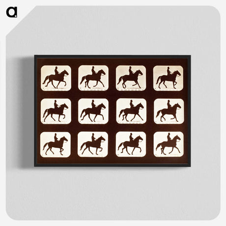 2-34_Eadweard-Muybridge_blk-crop