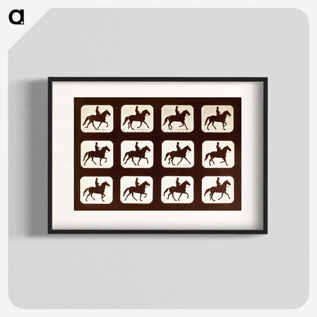 2-34_Eadweard-Muybridge_blk