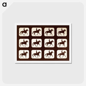 アートポストカード-The Amble: One Stride in Eleven Phases
 - エドワード マイブリッジ Postcard.