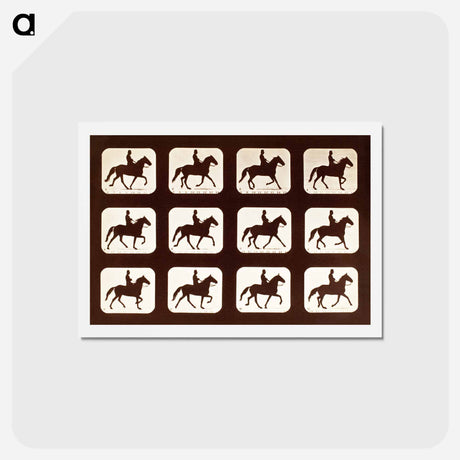アートポストカード-The Amble: One Stride in Eleven Phases
 - エドワード マイブリッジ Postcard.