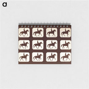 2-34_Eadweard-Muybridge_memo
