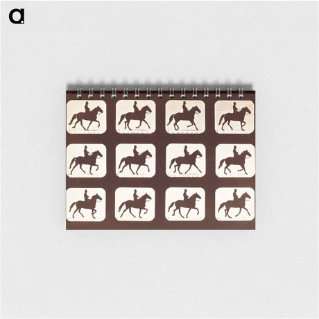 2-34_Eadweard-Muybridge_memo