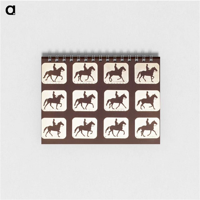 2-34_Eadweard-Muybridge_memo
