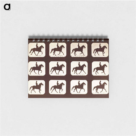 アートメモ帳-The Amble: One Stride in Eleven Phases
 - エドワード マイブリッジ Memo.
