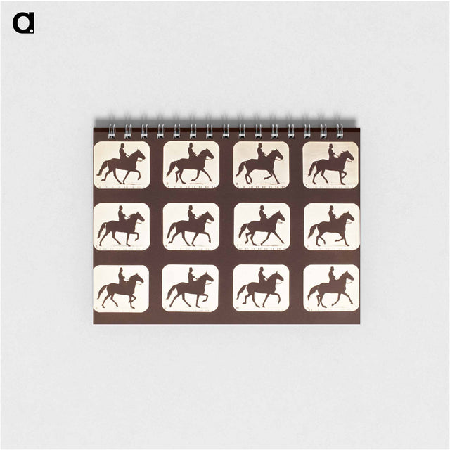 アートメモ帳-The Amble: One Stride in Eleven Phases
 - エドワード マイブリッジ Memo.