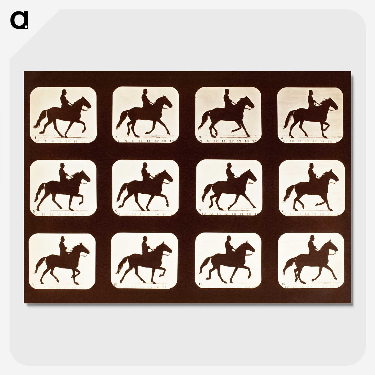 2-34_Eadweard-Muybridge_picture-crop