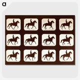 2-34_Eadweard-Muybridge_picture-crop